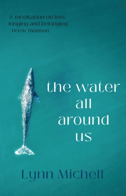 Lynn Michell - water all around us, E-bok
