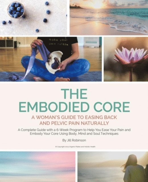 Jill Robinson - Embodied Core, E-bok
