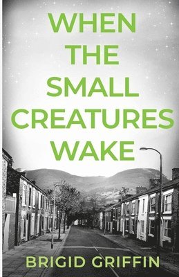 Brigid Griffin - When the Small Creatures Wake, Häftad