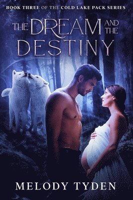 Melody Tyden - Dream and the Destiny, Häftad. Tillgänglighet: Lägg i varukorg