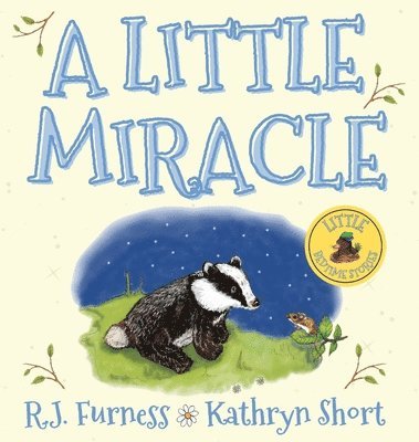 R.J. Furness - Little Miracle, Inbunden