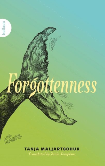 Tanja Maljartschuk - Forgottenness, E-bok