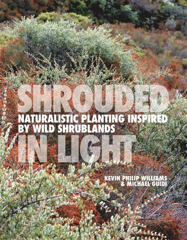 SHROUDED IN LIGHT by Kevin Philip Williams, Michael Guidi