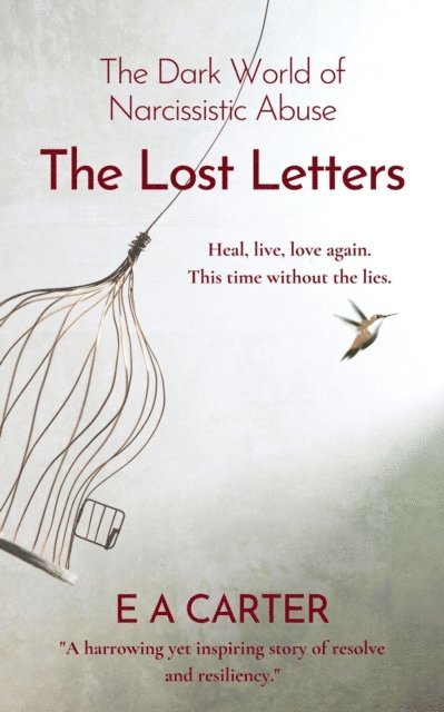E A Carter - Lost Letters: The Dark World of Narcissistic Abuse, E-bok