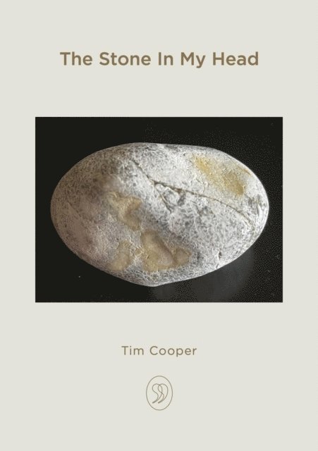 Tim Cooper - Stone In My Head, E-bok