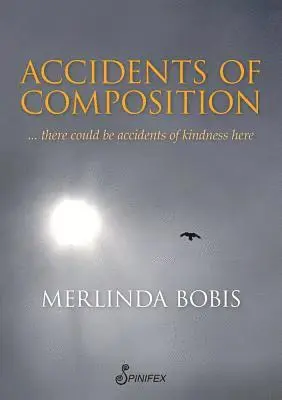 Bobis Merlinda - Accidents of Composition, Häftad. Tillgänglighet: Lägg i varukorg