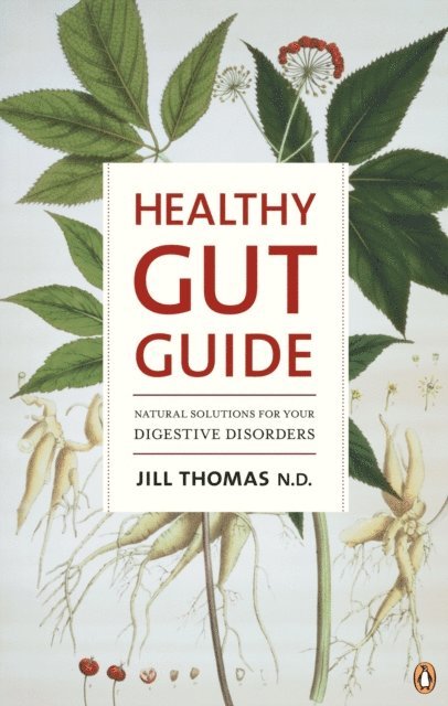 Jill Thomas - Healthy Gut Guide, E-bok