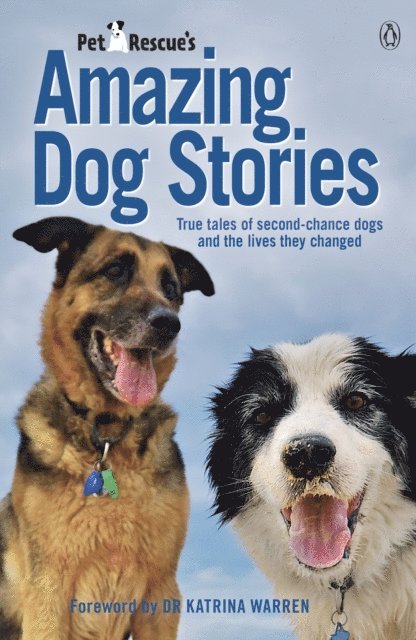 PetRescue's Amazing Dog Stories