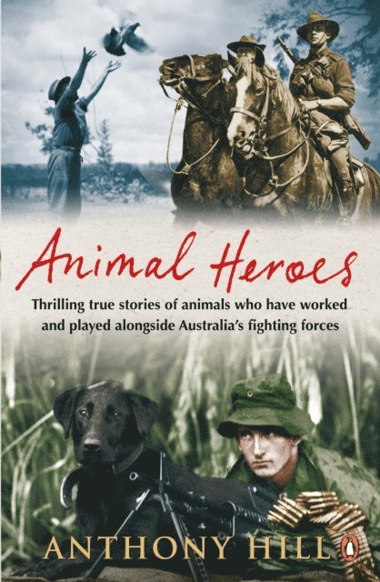 Anthony Hill - Animal Heroes, E-bok