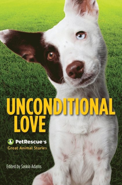 Saskia Adams - Unconditional Love: PetRescue's Great Animal Stories, E-bok. Tillgänglighet: Lägg i varukorg