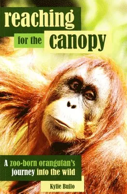 Kylie Bullo - Reaching for the Canopy: A Zoo-Born Orangutan's Journey Into the Wild, Häftad. Tillgänglighet: Lägg i varukorg