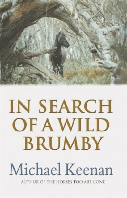 Michael Keenan - In Search Of A Wild Brumby, E-bok
