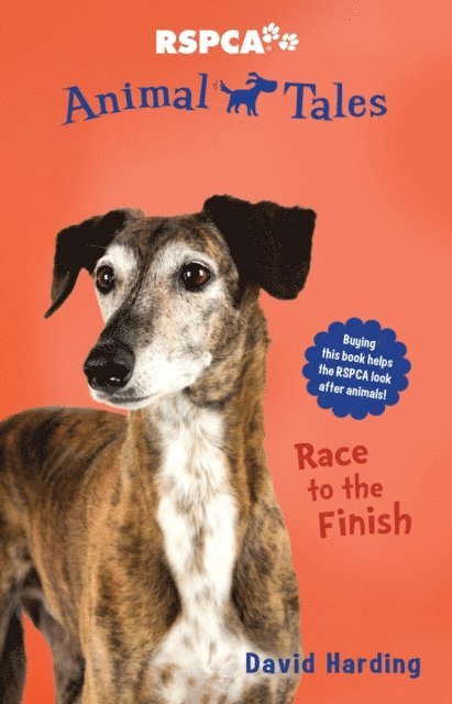David Harding - Animal Tales 8: Race to the Finish, E-bok