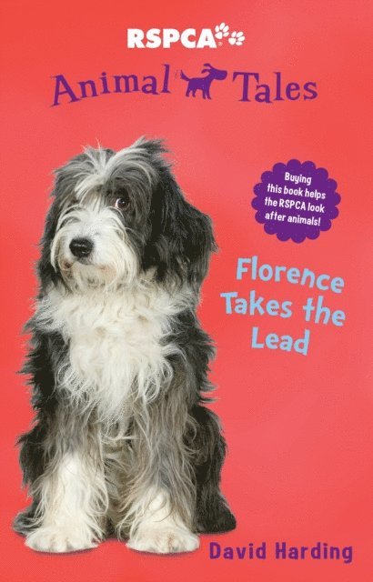 David Harding - Animal Tales 10: Florence takes the Lead, E-bok
