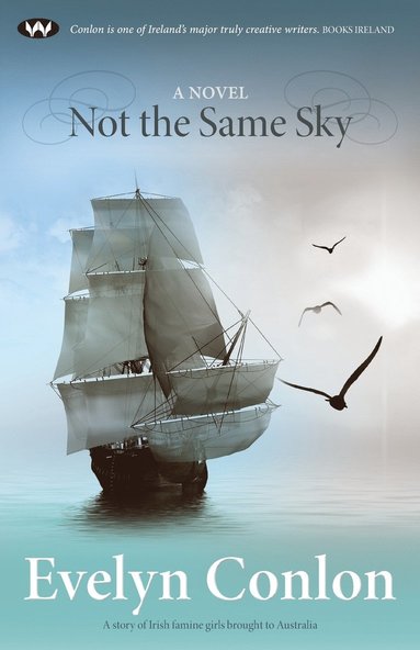 Not The Same Sky av Evelyn Conlon