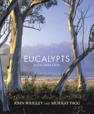John Wrigley, Murray Fagg - Eucalypts, Häftad
