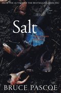 Salt