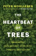 Heartbeat of Trees
