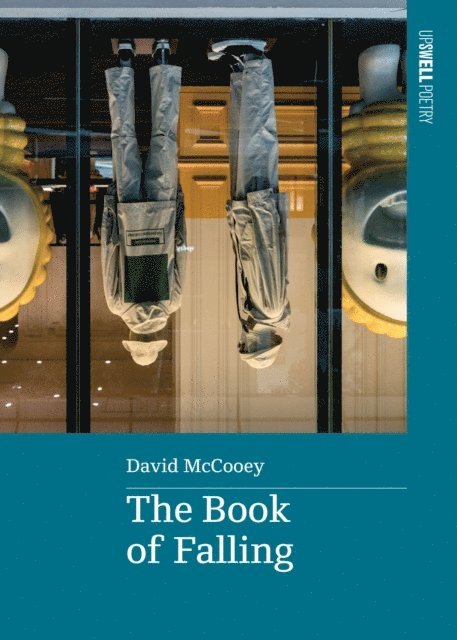 David McCooey - Book of Falling, E-bok