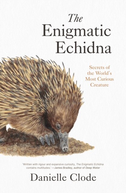 Danielle Clode - Enigmatic Echidna, E-bok