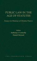 Public Law in the Age of Statutes