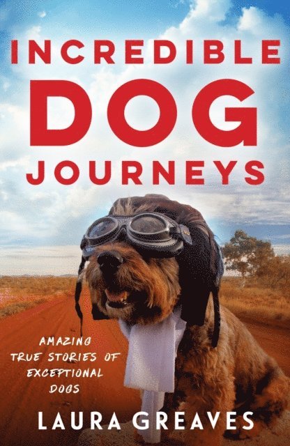 Laura Greaves - Incredible Dog Journeys, E-bok