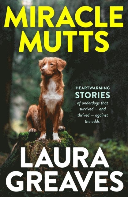 Laura Greaves - Miracle Mutts, E-bok