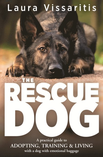 Rescue Dog