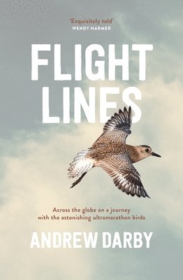 Andrew Darby - Flight Lines, Häftad