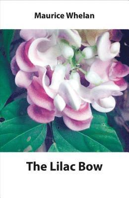 Maurice Whelan - Lilac Bow, E-bok