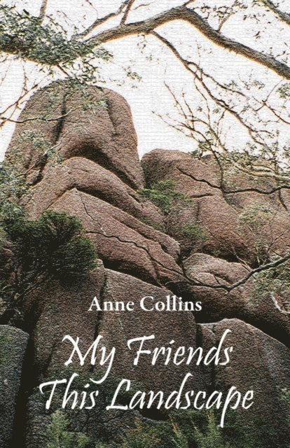 Anne Collins - My Friends This Landscape, E-bok