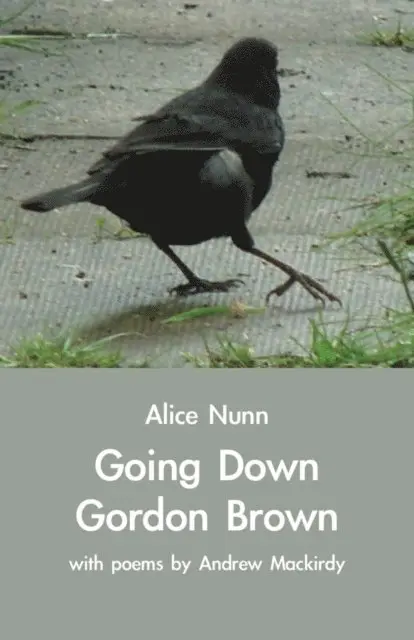 Alice Nunn - Going Down Gordon Brown, E-bok. Tillgänglighet: Lägg i varukorg