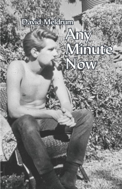 David Meldrum - Any Minute Now, E-bok