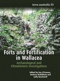 Forts and Fortification in Wallacea: Archaeological and Ethnohistoric Investigations