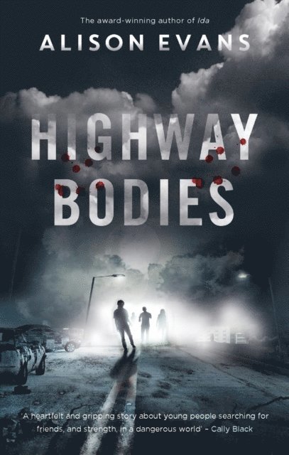 Alison Evans - Highway Bodies, E-bok