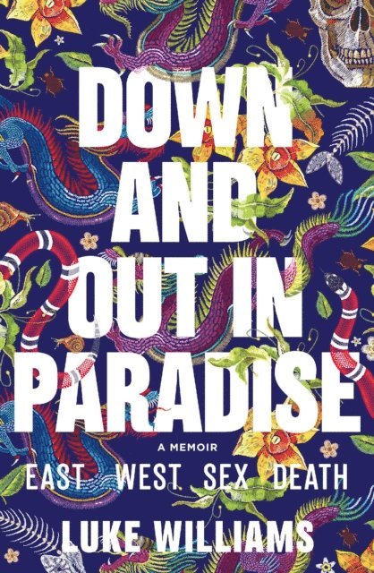 Luke Williams - Down and Out in Paradise, E-bok