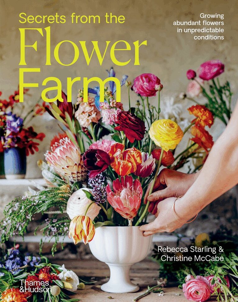 Rebecca Starling, Christine McCabe - Secrets from the Flower Farm, Inbunden