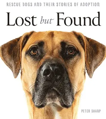 Peter Sharp - Lost But Found, Häftad. Tillgänglighet: Lägg i varukorg