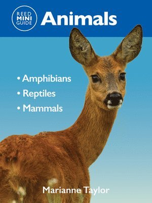 Marianne Taylor - Reed Mini Guide: Animals, Häftad. Tillgänglighet: Lägg i varukorg