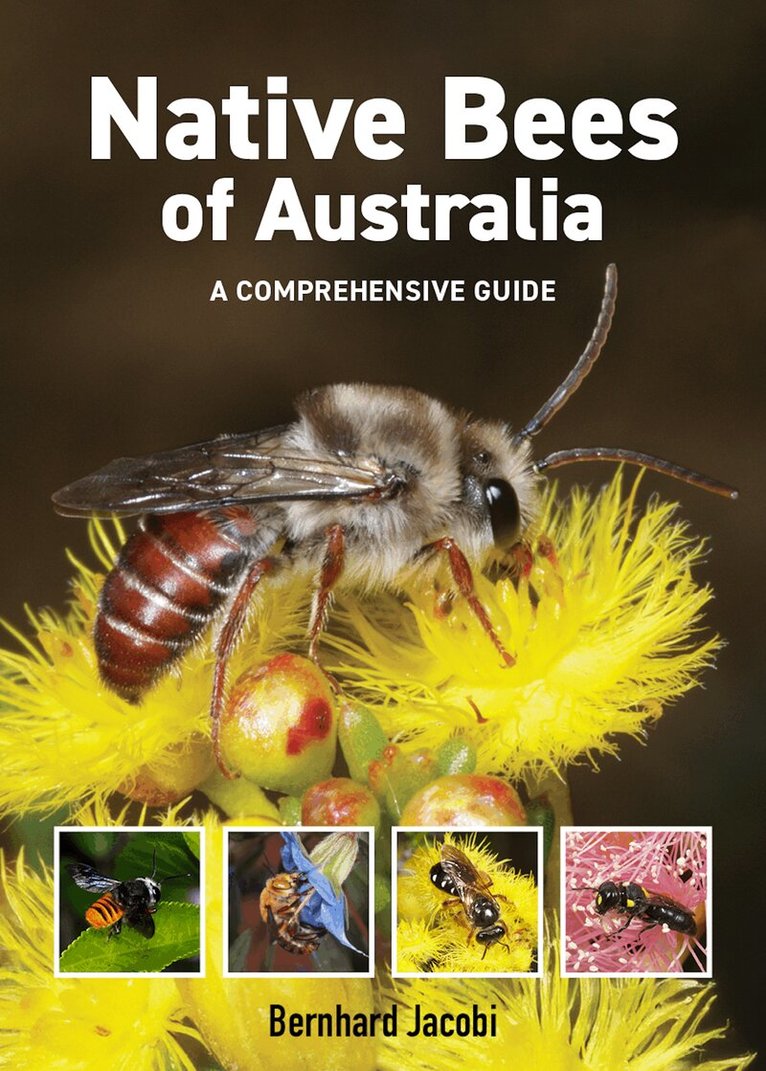Bernhard Jacobi - Native Bees of Australia, Häftad. Tillgänglighet: Lägg i varukorg