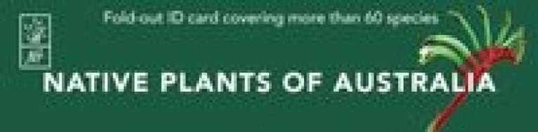 New Holland Publishers - Native Plants of Australia Id Chart: Fold-Out Id Card Covering 60 Species, Häftad