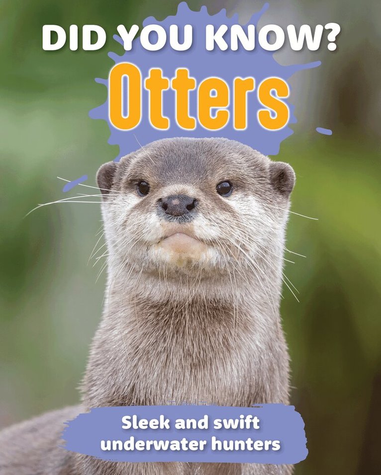 New Holland Publishers - Did You Know? Otters, Inbunden