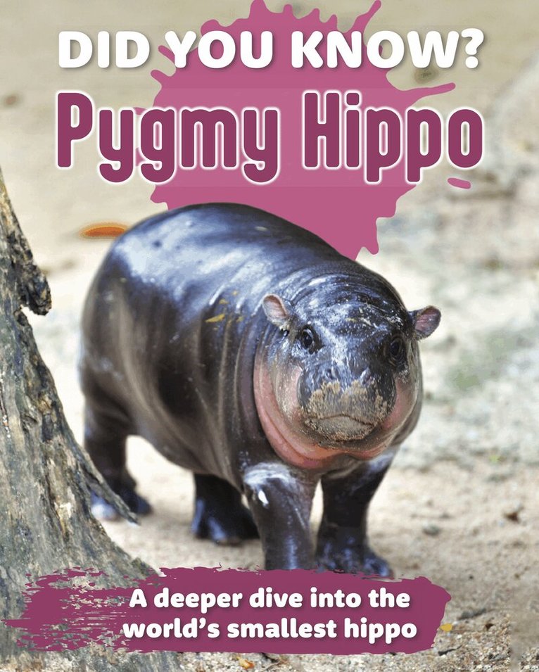 New Holland Publishers - Did You Know? Pygmy Hippo, Inbunden