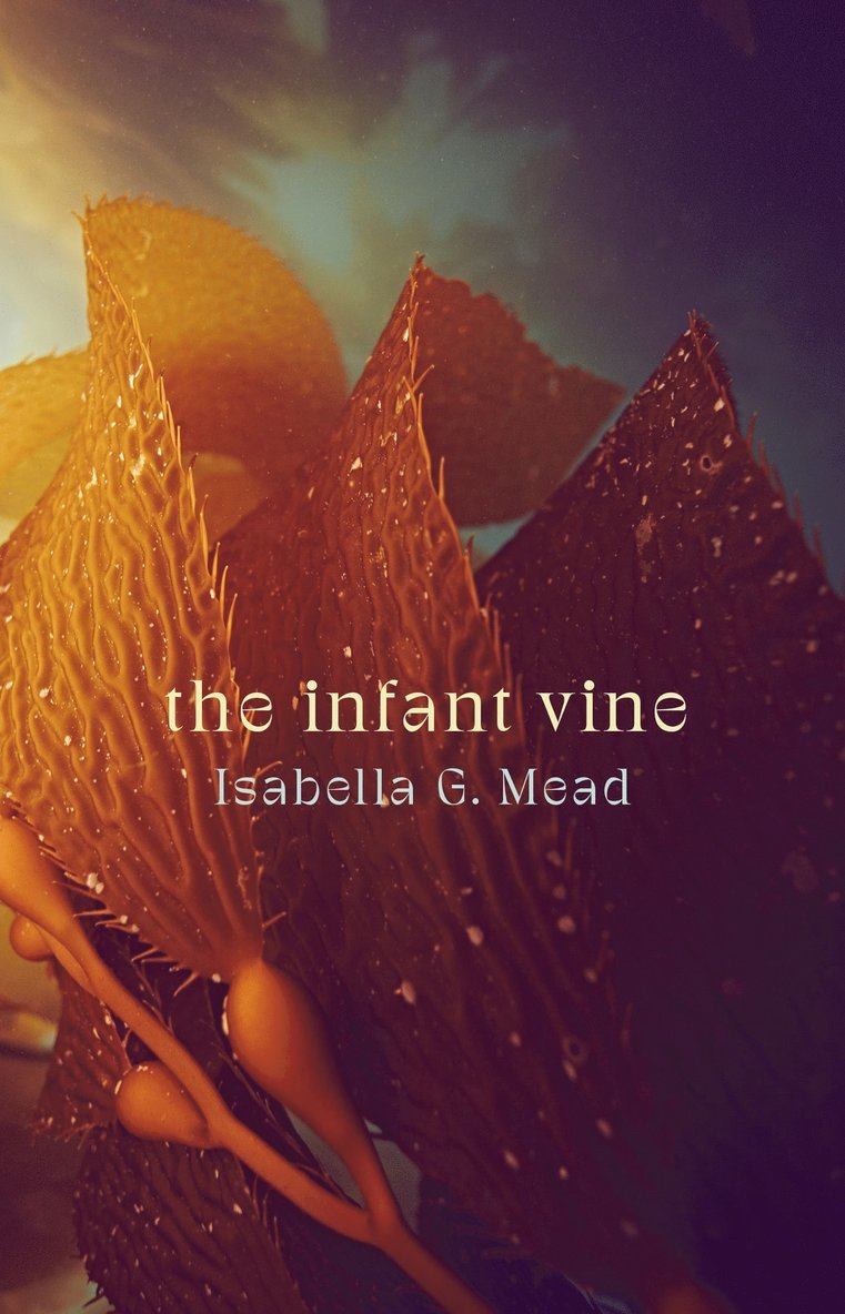 Isabella G. Mead - Infant Vine, Häftad