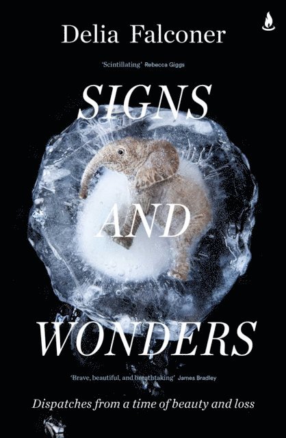 Delia Falconer - Signs and Wonders, E-bok