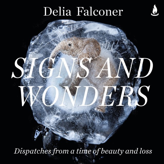 Delia Falconer - Signs and Wonders, Ljudbok