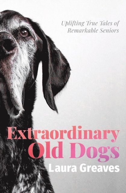 Laura Greaves - Extraordinary Old Dogs, E-bok