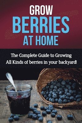 Ryan Steve - Grow Berries At Home, Häftad. Tillgänglighet: Lägg i varukorg