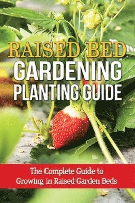 Raised Bed Gardening Planting Guide