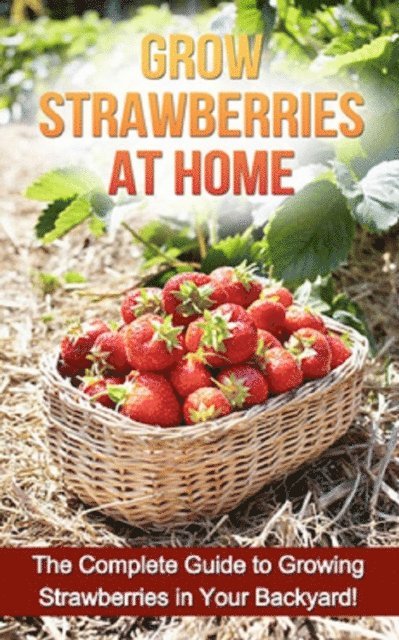 Steve Ryan - Grow Strawberries at Home, E-bok